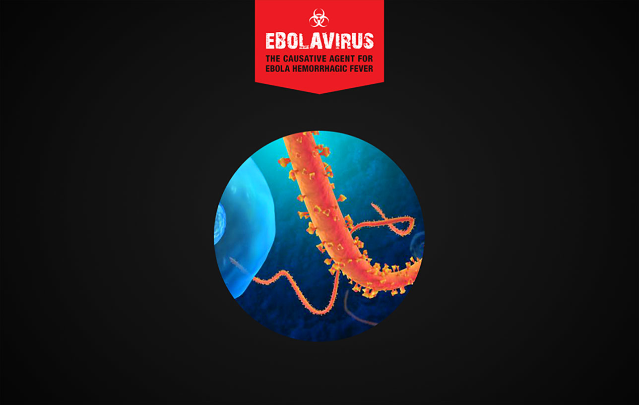 Ebolavirus: An Overview Presentation Image 01