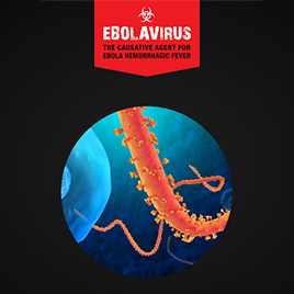 Ebolavirus: An Overview Presentation Thumbnail